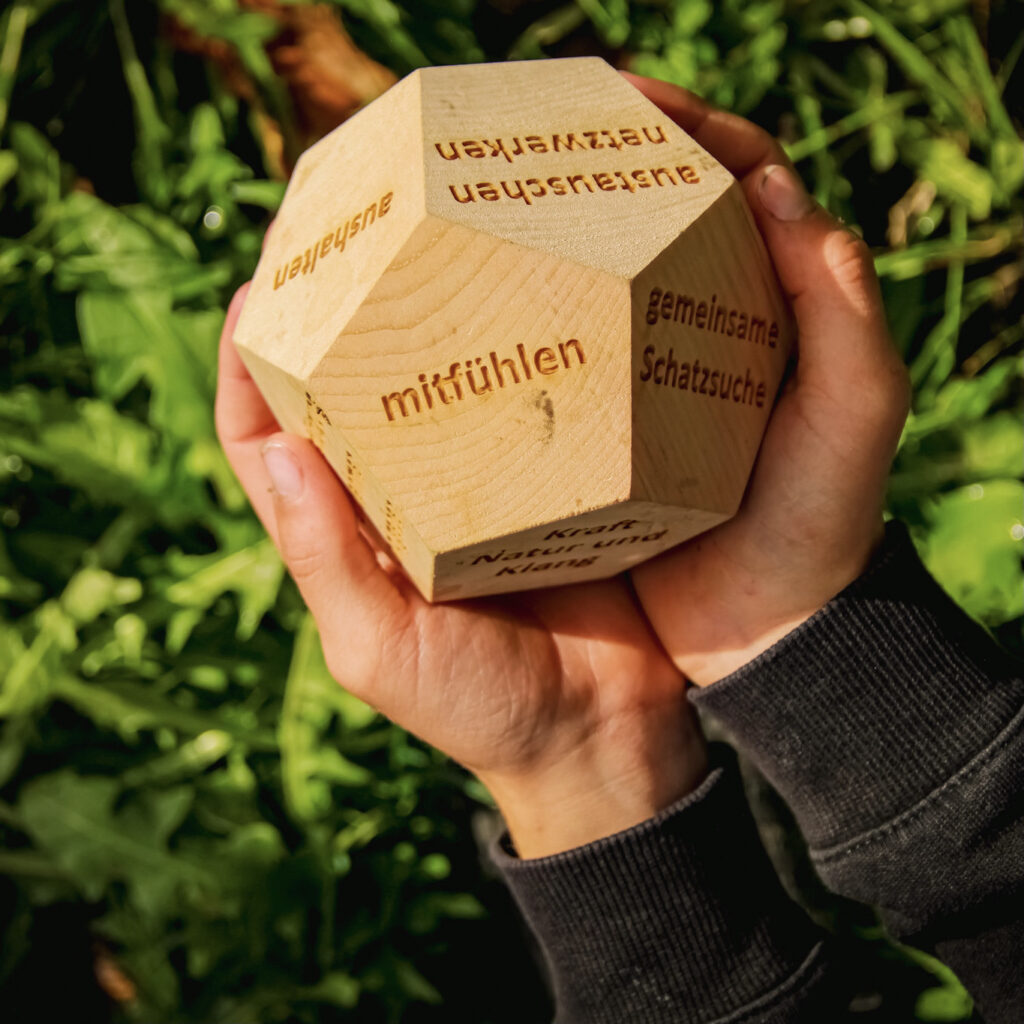 Mitfühlen_Impuls-Dodekaeder